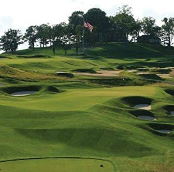 Outsidepride PC2.0 (Penncross) Creeping Bent Grass Seed – 1 lb. Premium Golf Course Grade, Dense, Wear-Resistant Turf Grass Seeds for Tees, Putting Greens & Fairways, Ideal for High Traffic Areas