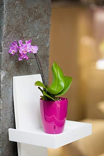 Santino 4.9 Inch ORCHIDEA Self Watering Pots for Orchids in Violet (Set of 3) - Decorative Wicking Planter with w/Great Aerification, Drainage and Water Level Indicator