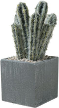 Cactus Artificial Plants in Gray Pots, Realistic Faux Cactus Potted Décor for Home, Office, Kitchen, Living Room, Desk, Shelf, and Indoor Decoration (Cylinder)