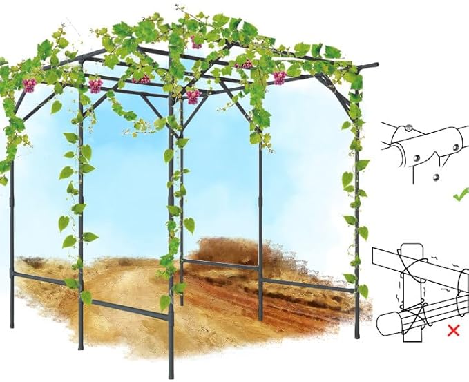 SHANTRA 79'' L x 59'' W x 79'' H Grape Vine Support Arch Arbor, Garden Arch Trellis, Plant Climbing Pergola, Arbour Gazebo Trellis for Backyard Decoration, White Rack for Vineyard