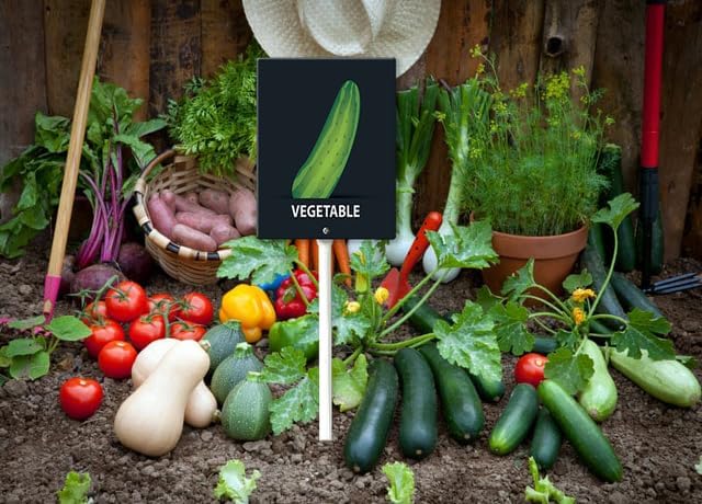 Eveokoki Aluminum Seed & Plant Labels - Plant Markes for Seedlings-Plant Tags for Pots - Garden Signs for Vegetable - Durable Markers for Plants Outdoor Waterproof - Garden Decor for Farmhouse