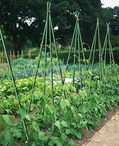 Plant Stakes 3Ft 20 Pack, 1/5 Inch Dia Ecofriendly Garden Stakes, Green
