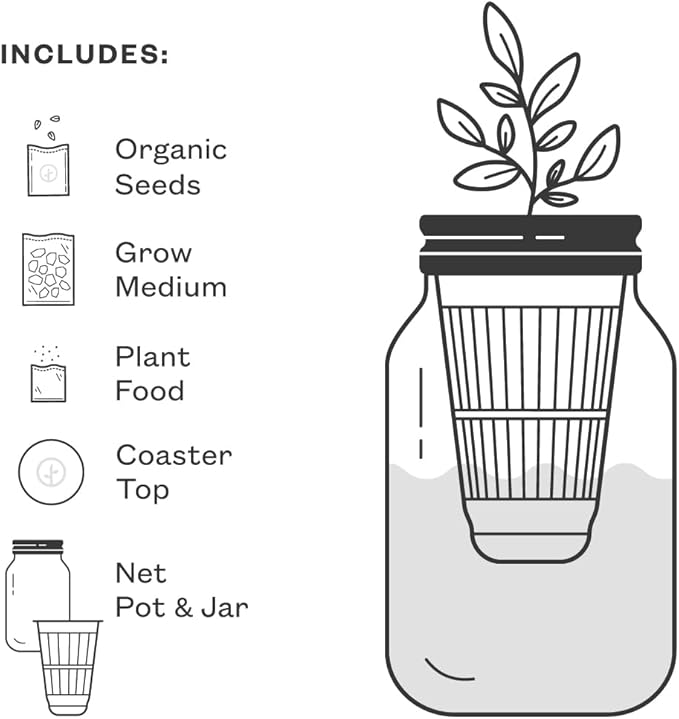 Modern Sprout Mason Garden Jar - Self-Watering Hydroponics Growing System Kit with Organic Herb Seeds - Jar Planter for Indoor Herb Garden - Seed Starter Kit - Home Decor & Gifting - Lavender