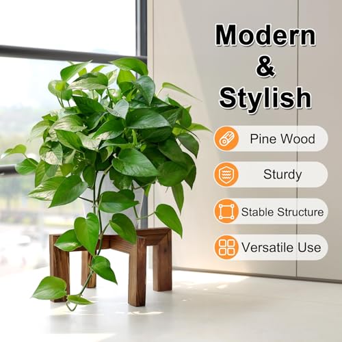 Vigordream Plant Stand, Indoor/Outdoor Wood Plant Holder, Single Flower Pot Stand, Sturdy Planter Stands (Walnut, Fit 2.5-6 inch pots) - size: Fit 2.5-6 inch pots