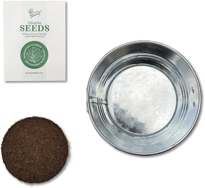 BUZZY Seeds Mini Basin Sensitive Plant Grow Kit, Interactive Leaves Move When Touched, Flower Starter Kit for Kids and Adults | Indoor Gardening Gift, DIY Home Project