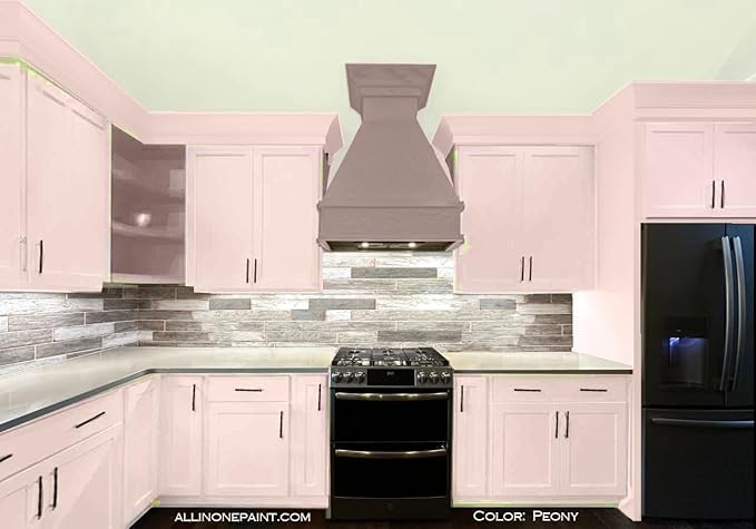 ALL-IN-ONE Paint, Durable cabinet and furniture paint. Built in primer and top coat, no sanding needed. Includes our 30 featured color card - Peony (pale pink), 8oz Sample