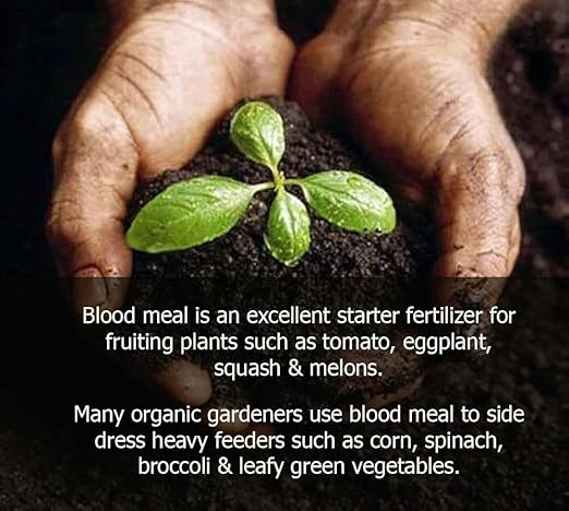 𝐁𝐄𝐒𝐓𝐒𝐄𝐋𝐋𝐄𝐑 Organic Blood Meal Fertilizer by Gardenera - 12-0-0 NPK - All-Natural Plant Food Source of Nitrogen for Organic Gardening, Flowers, Vegetables, Trees & Shrubs - 1 Quart