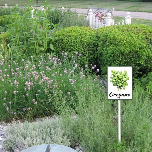 FemiaD Plant Label Signs Planted Herb Garden Markers Waterproof Aluminum Plant Stake Tags Oregano Sign for Nursery Indoor Outdoor Garden Decoration 7x8.8inch