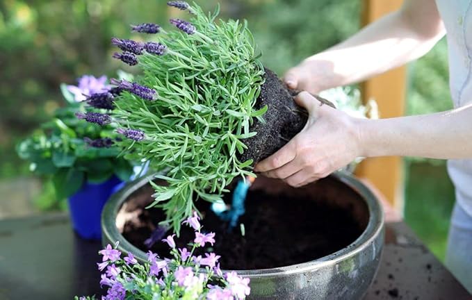 Gardenera Premium Moisture Control Potting Mix - Get The Perfect Balance of Moisture and Nutrients for Your Plants! - 5 Quart