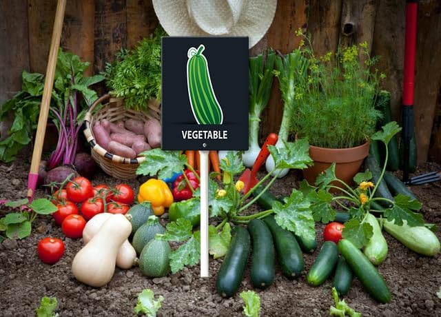 Eveokoki Aluminum Seed & Plant Labels - Plant Markes for Seedlings-Plant Tags for Pots - Garden Signs for Vegetable - Durable Markers for Plants Outdoor Waterproof - Garden Decor for Farmhouse