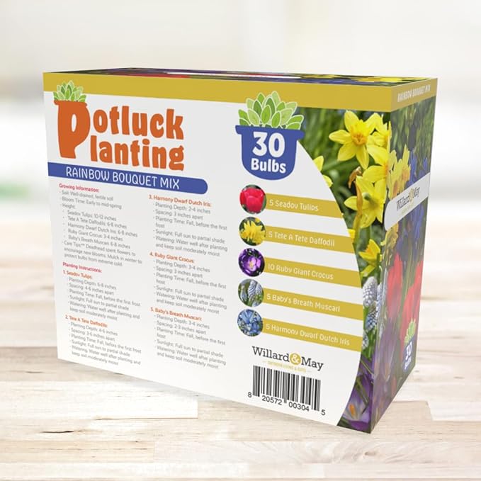 All-in-One Flower Garden Kit - 30 Bulbs Per Box - Potluck Planting Rainbow Bouquet Mix - Tulips, Daffodils, Iris, Crocus, Muscari - Live Outdoor Garden - Easy to Plant Flowers