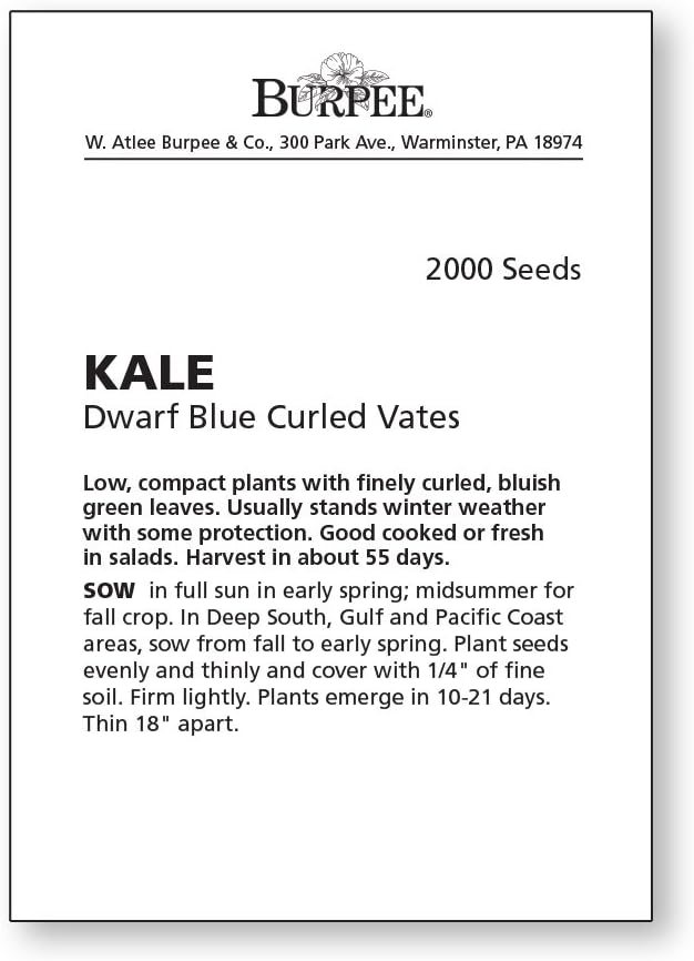 Burpee Dwarf Blue Curled Vates Kale Seeds 2000 seeds