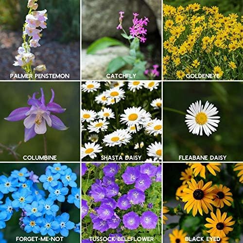 Rocky Mountain Wildflower Seeds Mix - 1 Lb Seed Pouch - 22 Wild Flower Seed Varieties - Annuals, Perennials and Bi-Annuals - Flower Garden