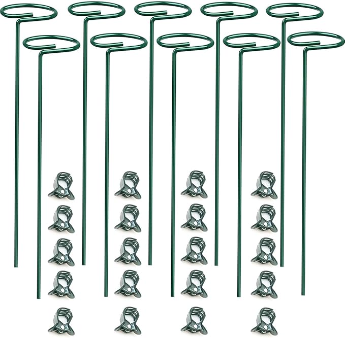 10 pcs 8 inch Metal Single Stem Flower Plant Support Stakes and Rings for Amaryllis Orchid Lily Sunflower Rose Narcissus