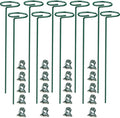 10 pcs 24 inch Metal Single Stem Flower Plant Support Stakes and Rings for Amaryllis Orchid Lily Sunflower Rose Narcissus
