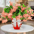 2 Salmon Christmas Cactus Plants Live, True Thanksgiving Cactus Live Size 6-9" Inches Tall, Ready to Blooms, Holiday Houseplant, Cold Hardy, Bloom in Winter