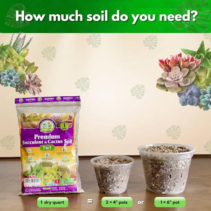 DUSPRO Succulents Soil Potting Mix – 7 in 1 Ingredients Well-Draining, Nutrient-Rich Cactus Potting Soil for Succulents and Cacti, Indoor & Outdoor Use, Ready to Use, Supports Healthy Root Growth, 1QT