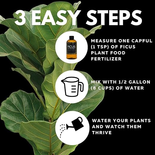 Lush Leaf | Plant Food (Ficus)