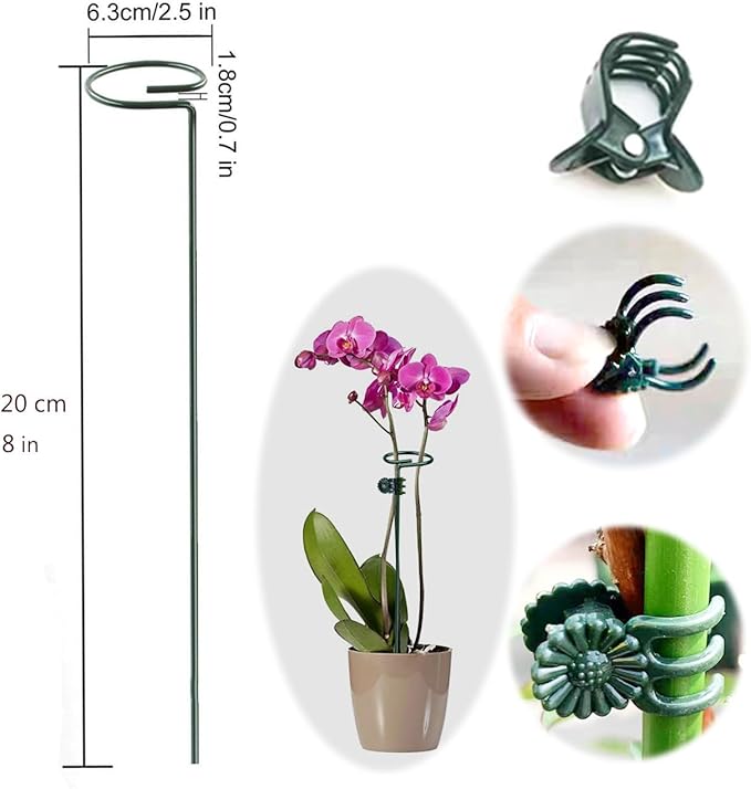 10 pcs 8 inch Metal Single Stem Flower Plant Support Stakes and Rings for Amaryllis Orchid Lily Sunflower Rose Narcissus