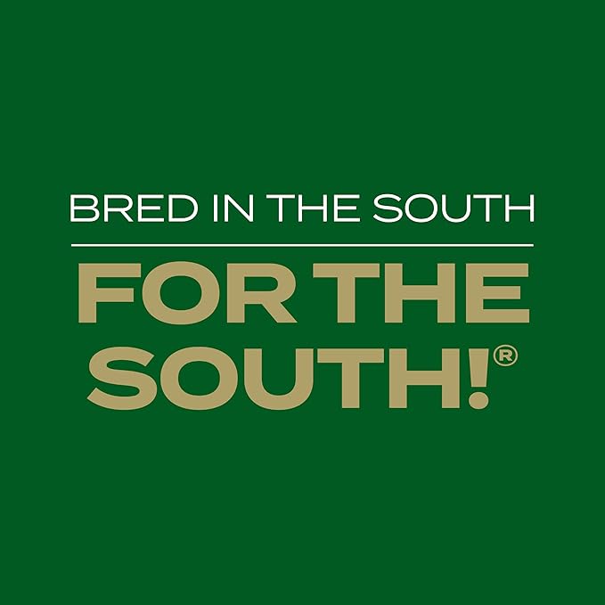 Scotts Turf Builder Rapid Grass Southern Gold Blend for Tall Fescue Lawns, Combination Seed and Fertilizer, 16 lbs.