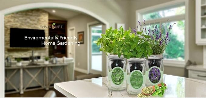 Hydroponic Herb Growing Kit Set, Self-Watering Mason Jar Herb Garden Starter Kit Indoor, Windowsill Herbs Garden, Grow Your Own Herbs from Organic Seeds (Basil, Cilantro and Parsley)