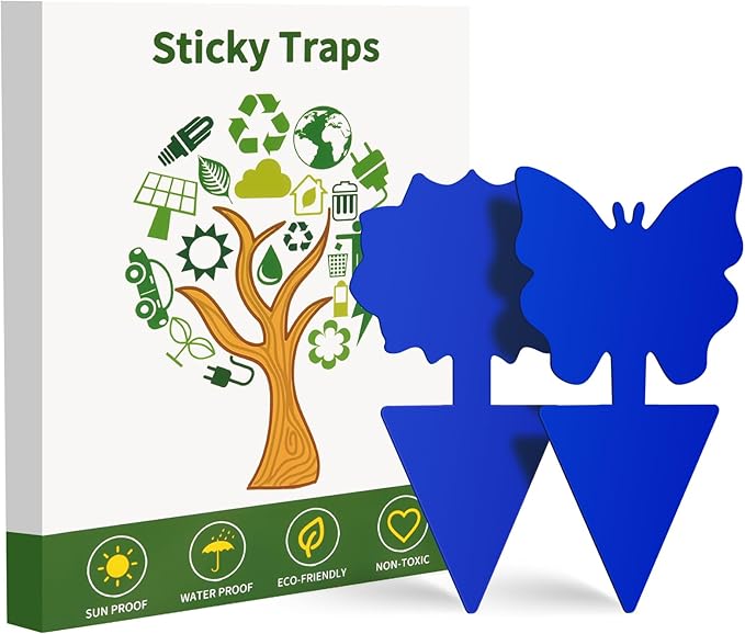 Fruit Fly Traps, 100 Pack Blue Sticky Traps, Fungus Gnat Traps, Plant Fly Stickers for Indoor and Outdoor Use Protect The Plant
