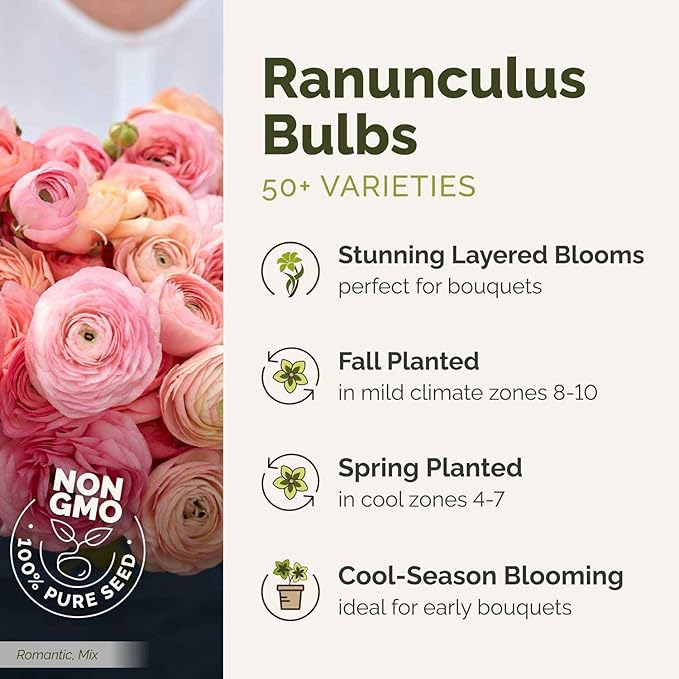 Eden Brothers Ranunculus Bulbs - Happy Mix