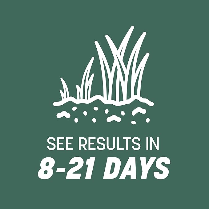 Pennington Kentucky 31 Tall Fescue Penkoted Grass Seed 40 lbs