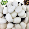 5lbs White River Rocks, 2-3 Inch Natural Pebbles for Indoor Plants, High Polished Decorative Stones Vase Filler Fish Tank Aquariums Landscaping Garden Outdoor and Indoor DIY