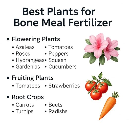 𝐁𝐄𝐒𝐓𝐒𝐄𝐋𝐋𝐄𝐑 Organic Bone Meal Fertilizer by Gardenera (4-12-0 NPK) All-Natural Plant Food Source of Nitrogen and Phosphorus for Bulbs, Gardens, Potted Plants, Trees, and Shrubs - 5 QUARTS