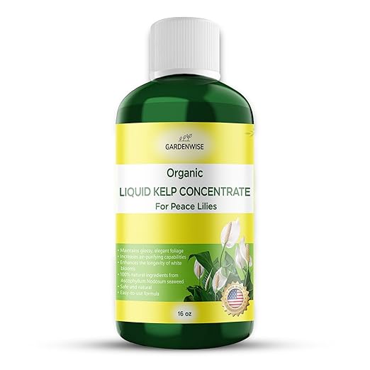 Organic Premium Kelp Seaweed Fertilizer for Peace Llily - Liquid Plant Food - Nutrient-Rich Soil Enhancer - Natural Plant Food for Spathiphyllum (16 OZ)