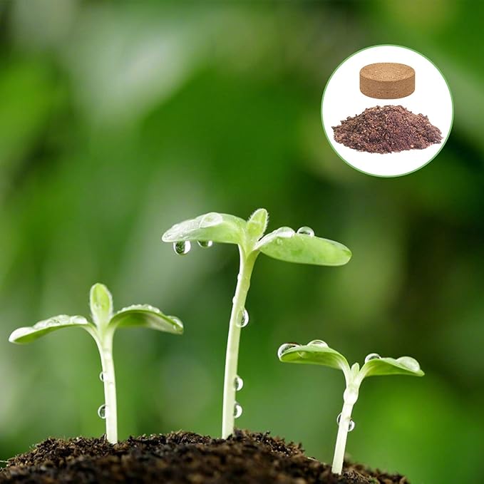 ZeeDix 100 Pcs (30mm) Compressed Coco Coir Fiber Potting Soil Seed Starters - Organic Coco Coir Pellet Fiber Soil for Planting Bonsai, Herbs, Plants, Flowers and Vegetables