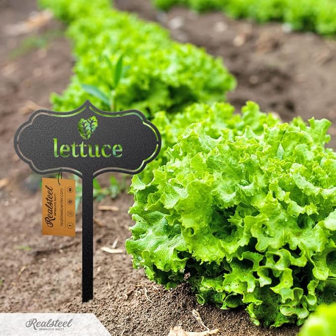 RealSteel - Seed & Plant Markers - Indoor/Outdoor Herb Garden Stakes - Elegant Fruit/Vegetable Seed Labels - Durable Plant Tags for Pots - Classy Design for Farmhouse/Greenhouse (Chives)