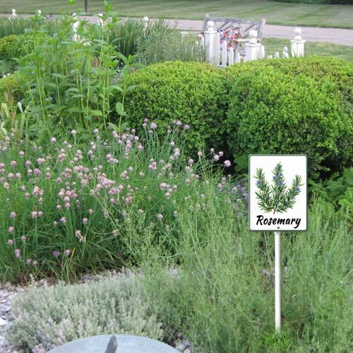 FemiaD Plant Label Signs Planted Herb Garden Markers Waterproof Aluminum Plant Stake Tags Rosemary Sign for Nursery Indoor Outdoor Garden Decoration 7x8.8inch