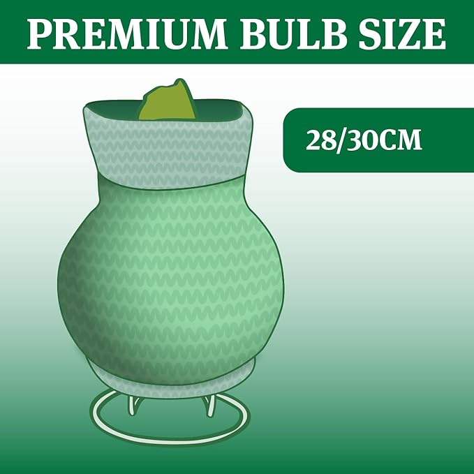 My Best Bud Sweater Amaryllis Flower Bulb with Stand, No Water Needed, Gift Ready
