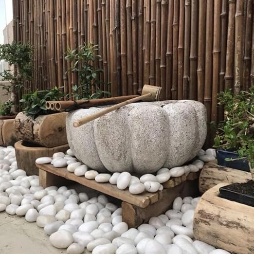 5lbs White River Rocks, 2-3 Inch Natural Pebbles for Indoor Plants, High Polished Decorative Stones Vase Filler Fish Tank Aquariums Landscaping Garden Outdoor and Indoor DIY