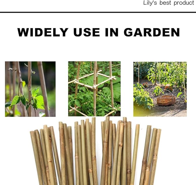 50 Pack 8ft Bamboo Plant Stakes for Wood Garden Sticks，Wooden Plant Supports，Bamboos，Bamboo Trellis，Crafts, More Size Choices 8"/12"/16"//2'/3'/4'/5'/6'/8'