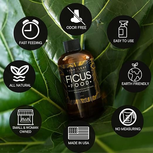 Lush Leaf | Plant Food (Ficus)