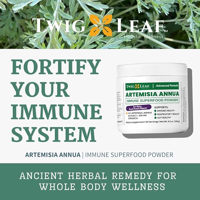Artemisia Annua Sweet Wormwood Herbal Powder | Leaf Extract Brain Supports | Artemisinin Supplement | Sweet Wormwood Organic Extract | Non-GMO, Vegan, Gluten-Free | 30 Servings/8.5 Oz (240g)