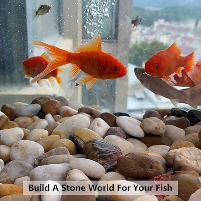 River Rocks for Landscaping, Natural Polished Pebbles for Indoor Plants, Small Decorative Black Stones for Vase Fish Tank Aquariums Landscaping Garden, 20lbs