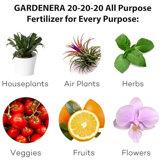 𝐁𝐄𝐒𝐓𝐒𝐄𝐋𝐋𝐄𝐑 20-20-20 Water-Soluble Fertilizer – Powder for Liquid Plant Food for Indoor & Outdoor Plants, Orchids, Vegetables, Lawns, Flowers – 20 20 20 Fertilizer [16 OZ]