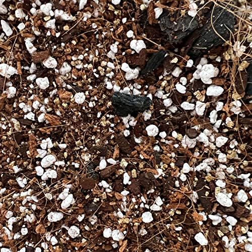 Spider Plant Imperial Houseplant Potting Soil Mix by rePotme - Standard Bag (8 Quarts)