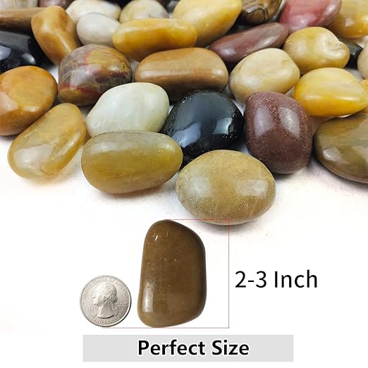 10lbs Pebbles for Indoor Plants, 2-3 Inch Mixed Color High Polished Large River Rocks Outdoor Decorative Stones Vase Filler Fish Tank Aquariums Landscaping Garden Outdoor and Indoor DIY