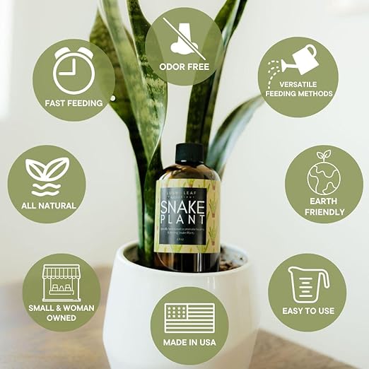 Lush Leaf | Plant Food (Snake Plant)