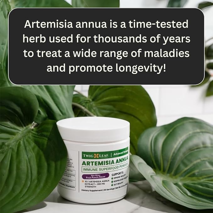 Artemisia Annua Sweet Wormwood Herbal Powder | Leaf Extract Brain Supports | Artemisinin Supplement | Sweet Wormwood Organic Extract | Non-GMO, Vegan, Gluten-Free | 30 Servings/8.5 Oz (240g)