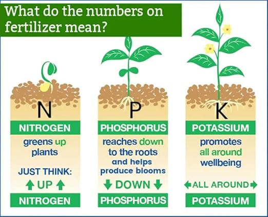 𝐁𝐄𝐒𝐓𝐒𝐄𝐋𝐋𝐄𝐑 20-20-20 Water-Soluble Fertilizer – Powder for Liquid Plant Food for Indoor & Outdoor Plants, Orchids, Vegetables, Lawns, Flowers – 20 20 20 Fertilizer [8 OZ]