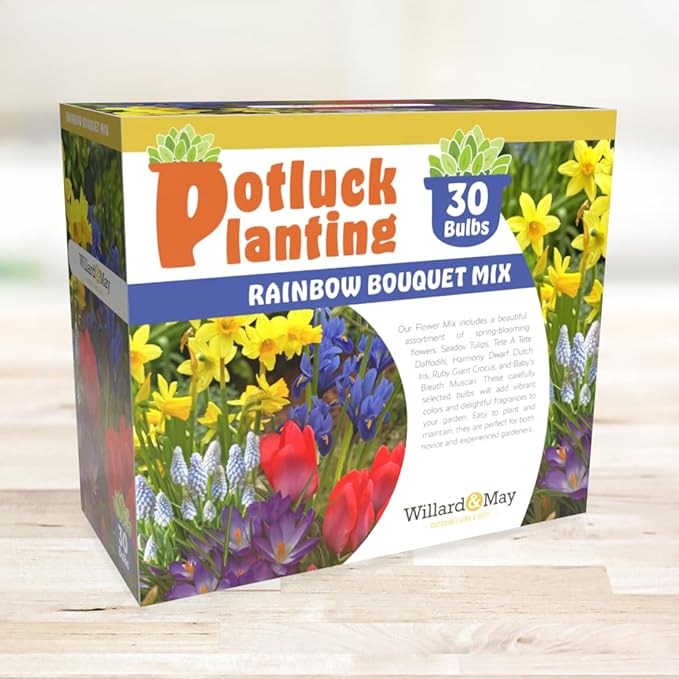 All-in-One Flower Garden Kit - 30 Bulbs Per Box - Potluck Planting Rainbow Bouquet Mix - Tulips, Daffodils, Iris, Crocus, Muscari - Live Outdoor Garden - Easy to Plant Flowers