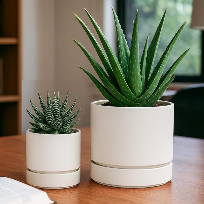Phoenix Vine 6 Inch Planter Pot with Drainage Hole & Saucer, Deep Water Catch Tray, Straight Cylindrical Round Pot for Plants, Oatmeal, Pack of 2, 23-E-S-2