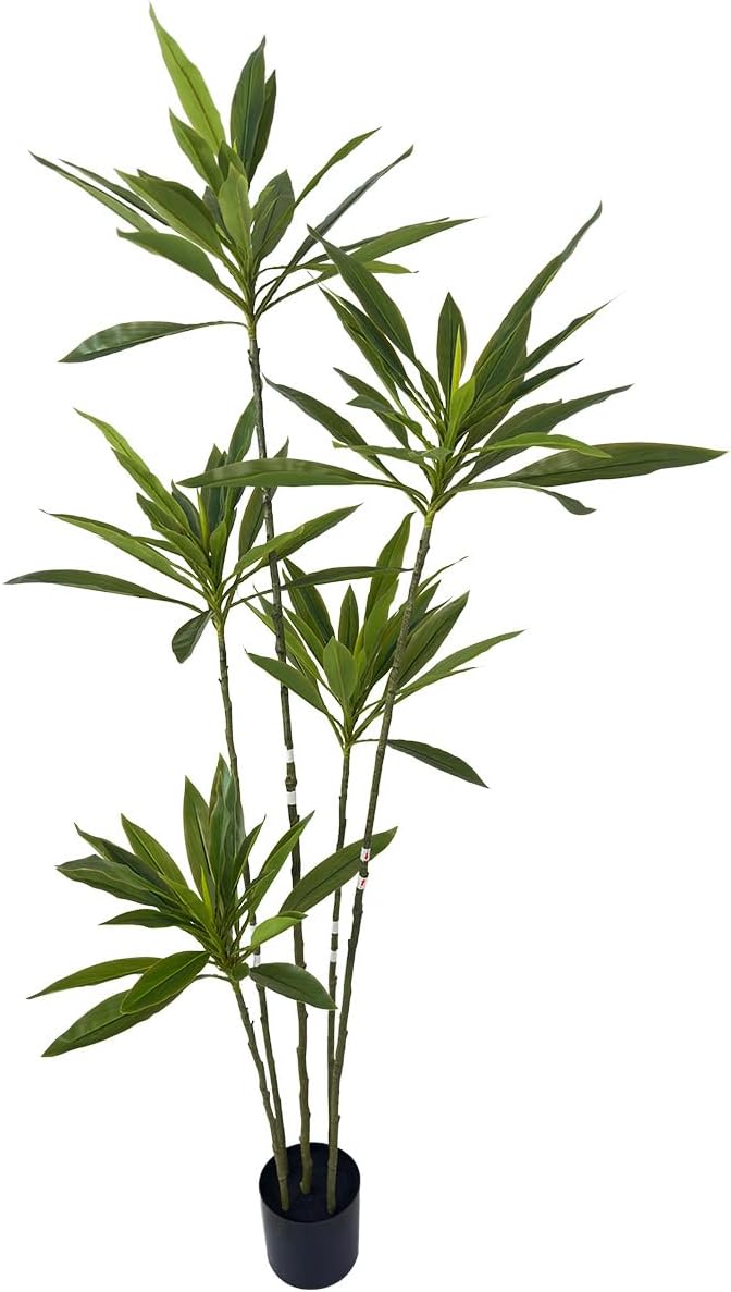 Artificial Cordyline Plant, 6 Ft Tall Green Leaves, 5 Stems with Pot, Indoor Decorative Tree(Green)