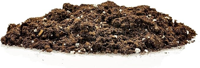 GARDENERA Premium Pothos Potting Soil Mix - Air Cleaning Plant Potting Mix, Soil Mix for Pothos, Parlor Palm, Peace Lily - (2 Quart Bag)